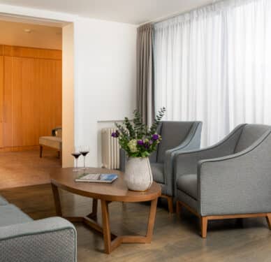 Drumlin Suite Living Area 301