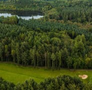 Farnham images high res 48