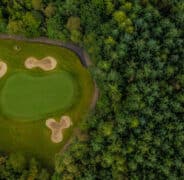 Farnham images high res 49