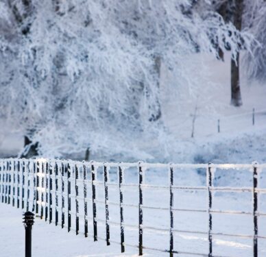 winter-farnham-estate-3