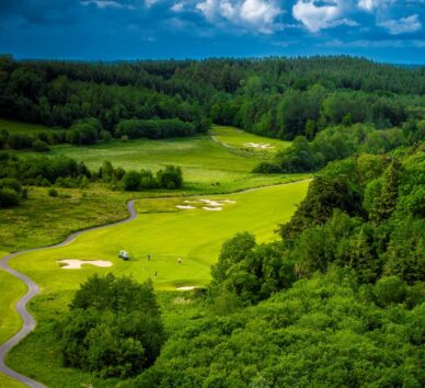 Scenic view of lush green golf course surrounded by dense forest under clear blue sky, perfect for leisure and relaxation.