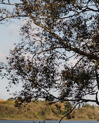 Gallery Image - 🍂 Hello November from Farnham Estate 🍂

As the autumn leaves settle across our woodland trails and crisp mornings fill the air, Farnham Estate transforms into a haven of calm and cozy moments.

Whether you’re escaping for a wellness retreat, a romantic getaway, or a refreshing countryside walk, let November be the month you reconnect with nature and yourself.